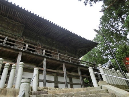 CIMG0134