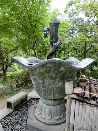 CIMG0216