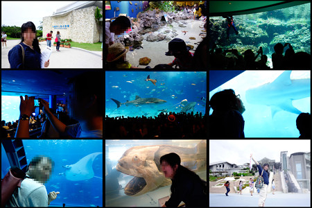 2014/9 美ら海水族館 - 3日目