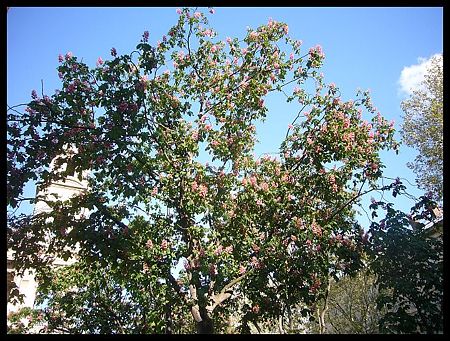 P2430229