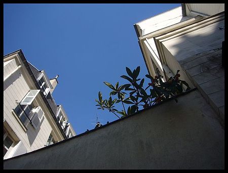 P2520402