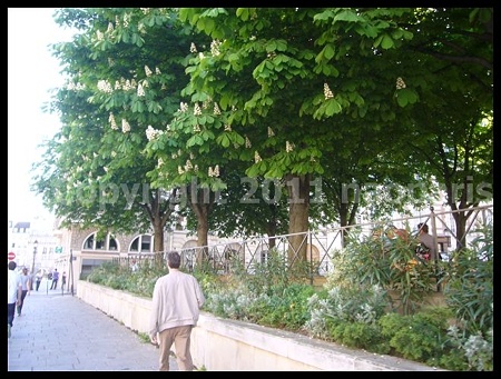 P2700144