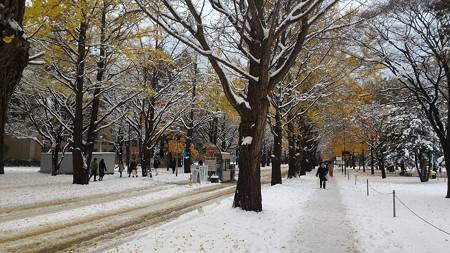 P_20161106_135900