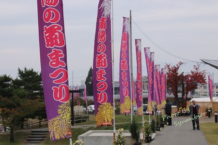 南陽の菊祭り