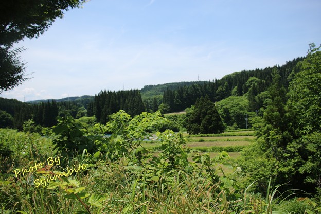 山形県鮭川村