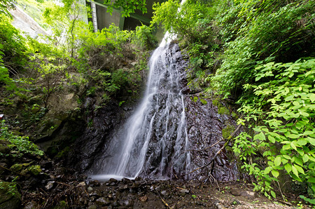 下田寺沢不動の滝　2012.6.6-2