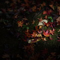 017