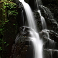 IMG_8089