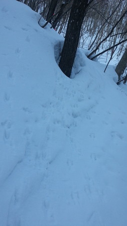 20170225_074916