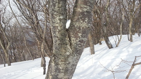 20170225_083129