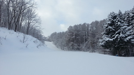 20170311_074218
