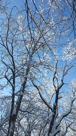 20170311_080719