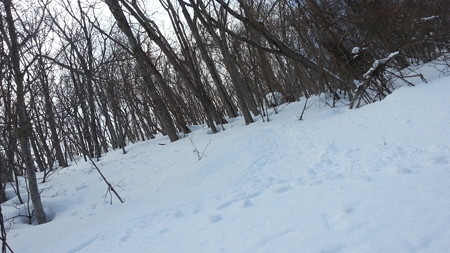 20170402_100219