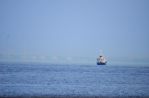 DSC_6834 (2)