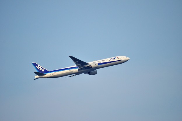 DSC_6888 (2)