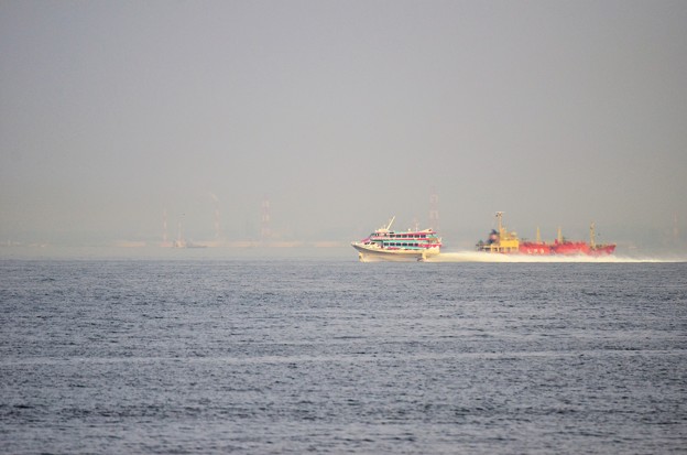 DSC_6932 (2)
