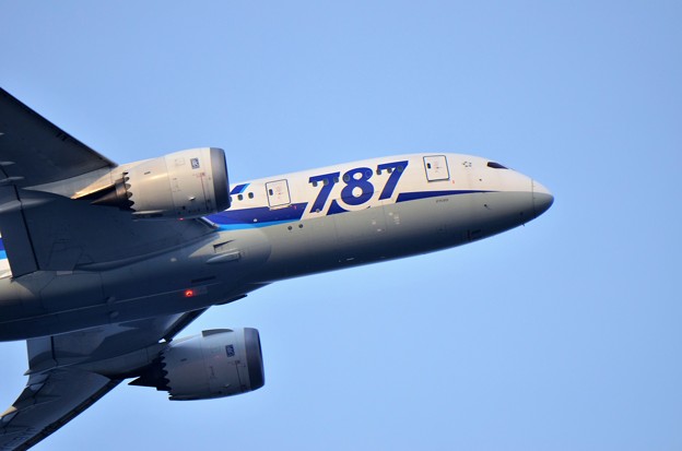 DSC_7005 (2)