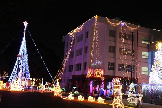 クリスマス イルミネーション 兵庫県小野市 1 写真共有サイト フォト蔵