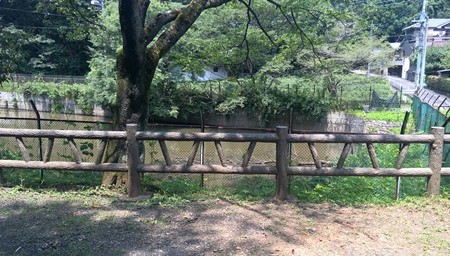 メイちゃんの捜索の時の池?
