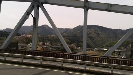 半原エリア ひなたばし 桜を望む。