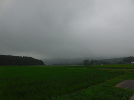 須走を越え足柄へ、もしかしたら雨