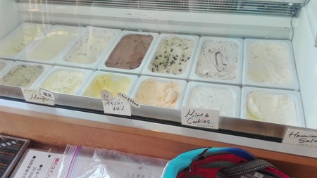 ハワイ発鵠沼海岸のHiloのアイスクリーム