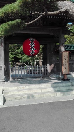 長谷寺 四萬六千日