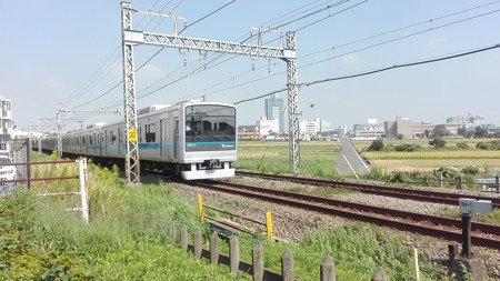 小田急線と秋の田んぼとまっすぐの農道