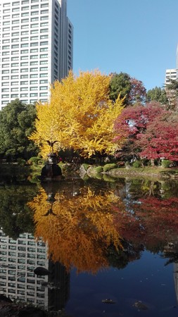 紅葉の鏡@日比谷公園