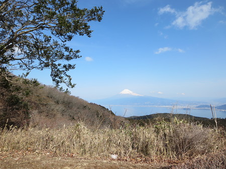 駿河湾と富士山
