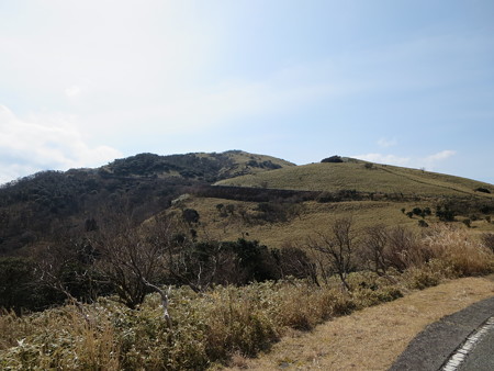 達磨山