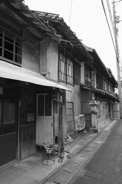 DSCF2506
