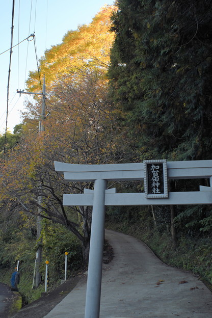 DSCF3160