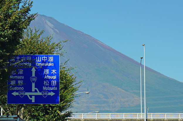写真: zDSC02238