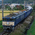 秋を走る