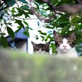 Photos: 心躍る