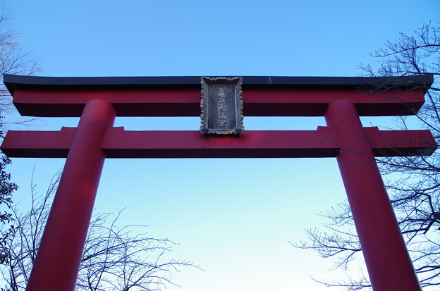 亀戸天神社 (1)