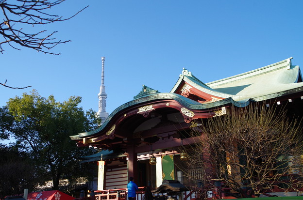 亀戸天神社 (8)