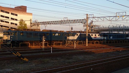 DSCN3007