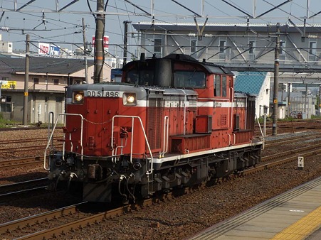 DSCN3114