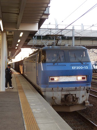 DSCN3604