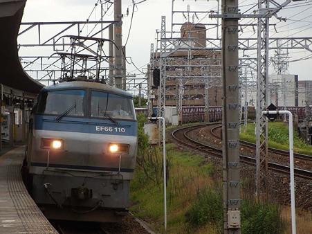 DSCN3465