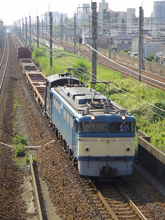 DSC01739