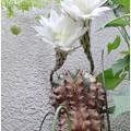 Photos: 2014072605