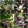 Photos: 2016052302