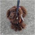 Photos: 2016061405