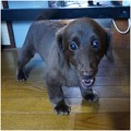 Photos: 2016080303