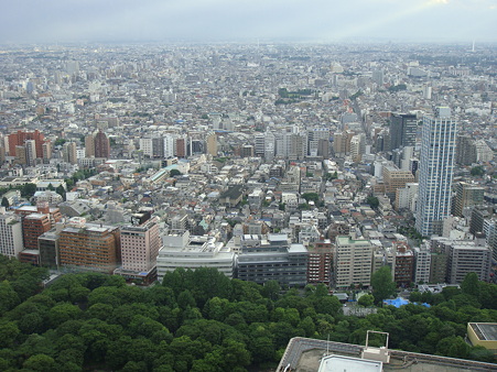 DSC05632