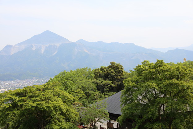 秩父の山