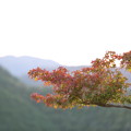 紅葉と山